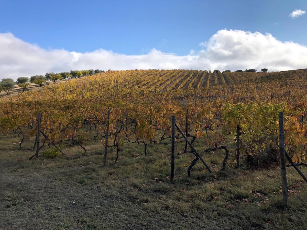 Quinta Da Pereira E Enricas Agro-Turismo Hotel Vila Flor Kültér fotó