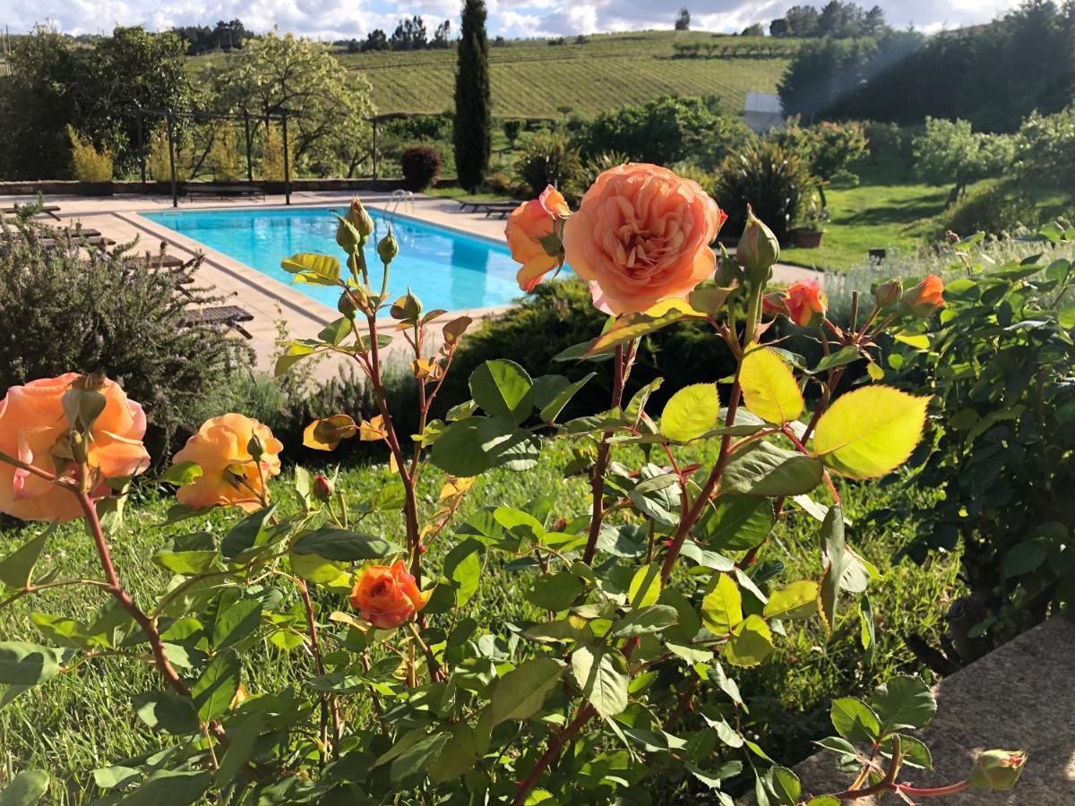 Quinta Da Pereira E Enricas Agro-Turismo Hotel Vila Flor Kültér fotó