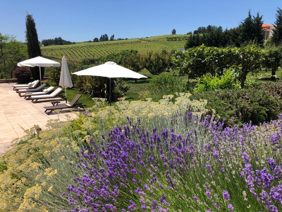 Quinta Da Pereira E Enricas Agro-Turismo Hotel Vila Flor Kültér fotó