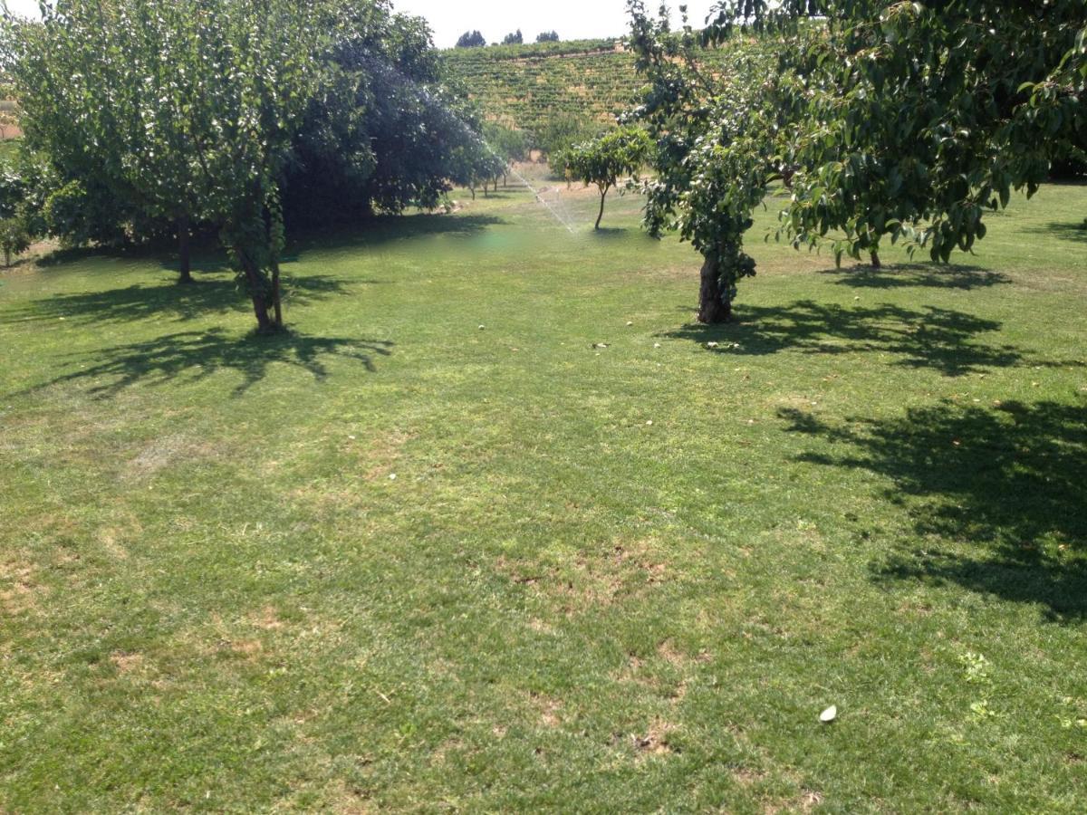 Quinta Da Pereira E Enricas Agro-Turismo Hotel Vila Flor Kültér fotó