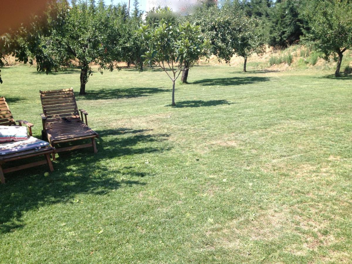 Quinta Da Pereira E Enricas Agro-Turismo Hotel Vila Flor Kültér fotó